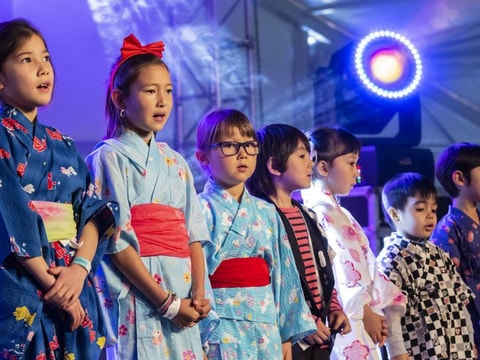 Japan Matsuri
