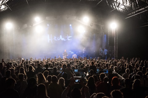 Vogellisi Festival