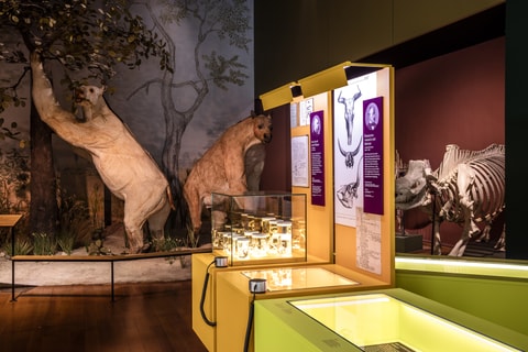 200 Jahre Museum – Jubiläumsausstellung