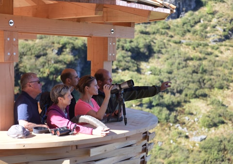 Wildbeobachtung auf der Mettmen-Alp und Bischofalp
