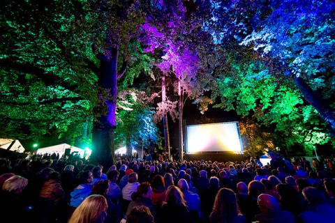 Solothurner Sommerfilme