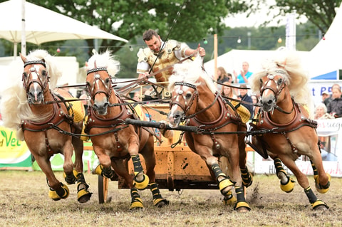 Römertag Vindonissa