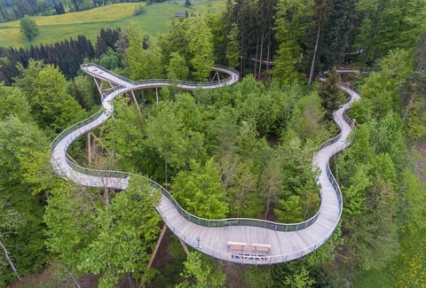 Wipfel Run Mogelsberg