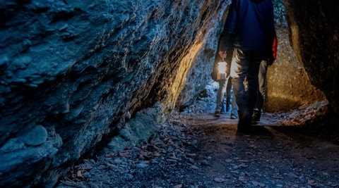Abendführung: Nächtlicher Spaziergang durch den Natur- ...