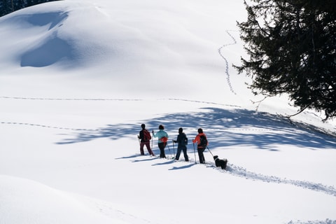 Schneeschuh-Traum Rigi