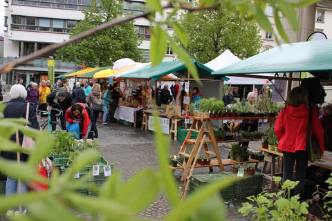 Ökomarkt St. Gallen