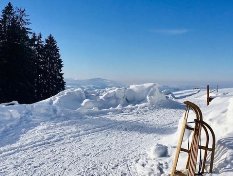 Schlittelplausch auf der Alp Egg – Ricken