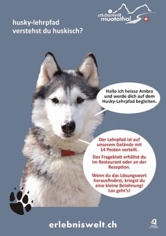 Husky-Lehrpfad