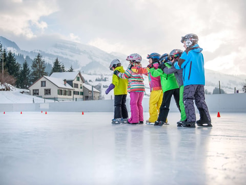Curlingzentrum Wildhaus