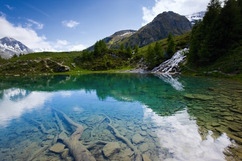 test1