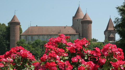 Rosenfestival in Estavayer-le-Lac