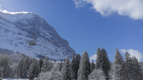 Mit dem Eiger Express hinauf zum Gletscher