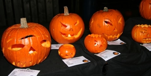 Halloween-Kürbisverkauf auf dem Bächlihof in Jona - nic...