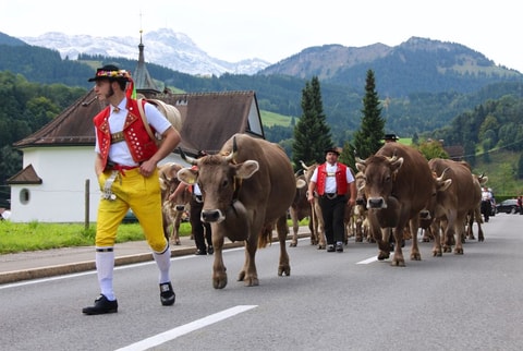 Bauernmarkt und Alpabzug in Urnäsch