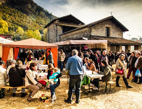 Fiera di San Martino in Mendrisio