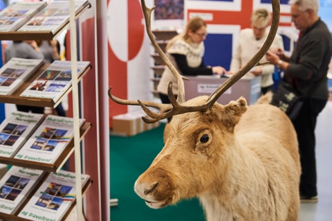 Ferienmesse Bern