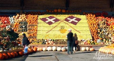 Kürbisausstellung auf dem Bürlimoos
