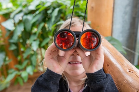 Entdeckertour für Kids im Tropenhaus Frutigen