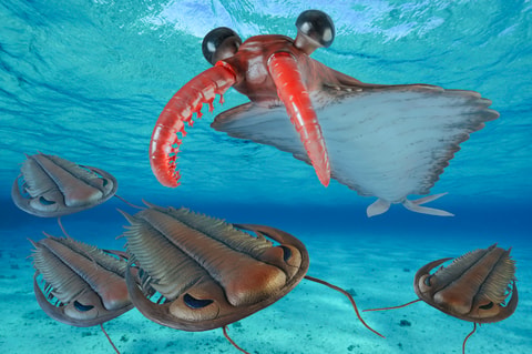 Trilobiten & Seeskorpione im Sauriermuseum Aathal