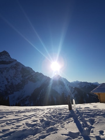 Vollmond Schneeschuhtouren in Adelboden