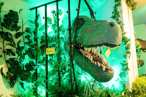 Crazy World of Dinosaurs