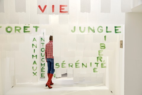 Ausstellung "Sauvage" im Naturhistorischen Museum von N...