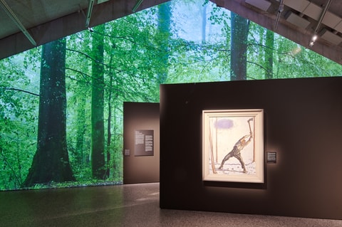 Im Wald. Eine Kulturgeschichte