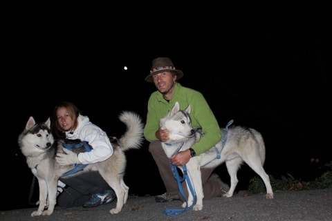 Cani Rando Raquette – Val d’Hérens