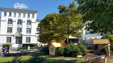Der zauberhafte Wald des Maison Cailler