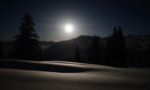 Schneeschuh-Mondschein-Wanderung