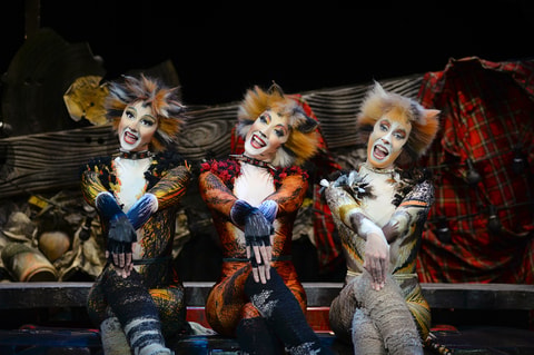 Musical CATS