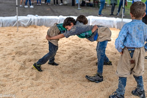 Eidgenössisches Schwing- und Älplerfest 2019