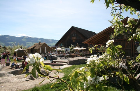 Bächlihof in Jona
