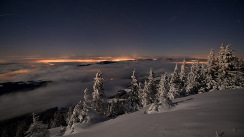 Sonnenaufgangs-Schlitteln am Kronberg