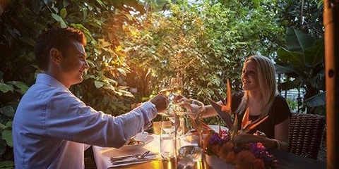 Valentinstag im Tropenhaus Frutigen