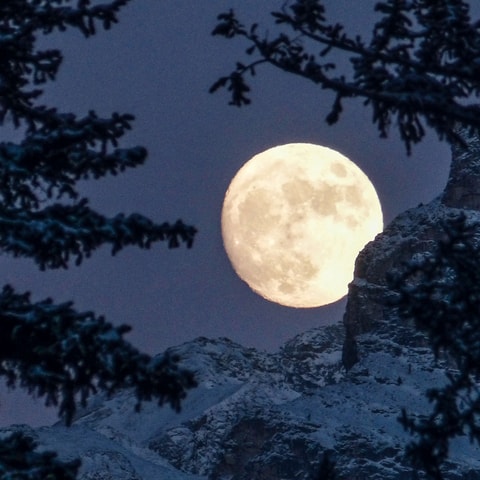 Vollmondschlitteln auf der Elsigenalp