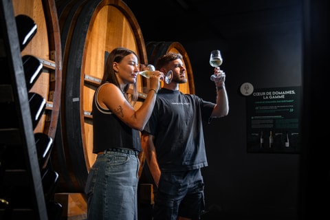 Dégustation & expériences aux Domaines Rouvinez (VS)