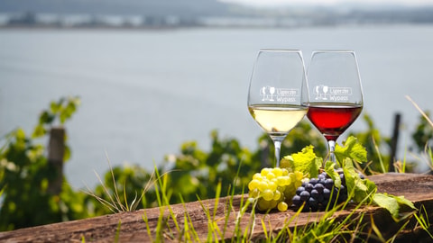 Fête des vendanges de Gléresse (BE)