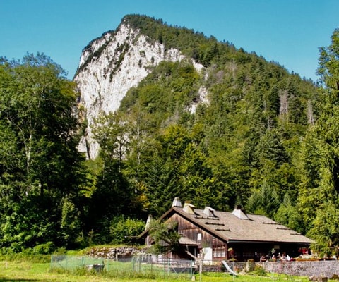 Ferme Robert