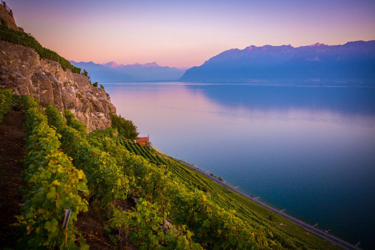 Lavaux terraced vineyards, UNESCO