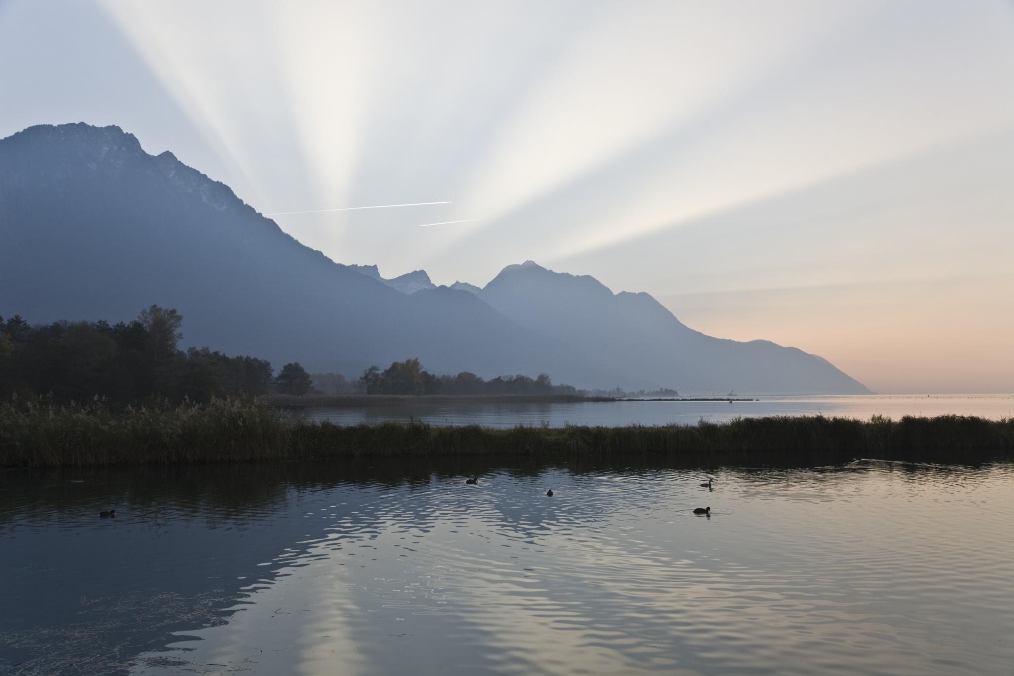 Réserve naturelle Les Grangettes