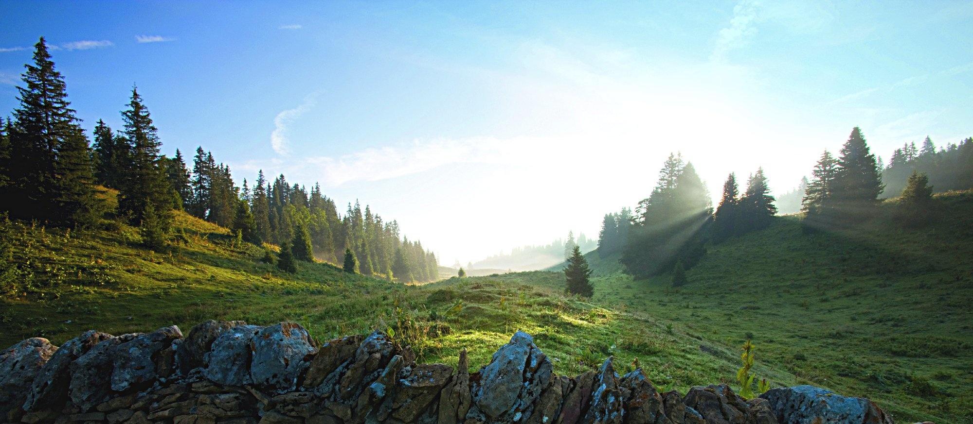 Parc Jura vaudois