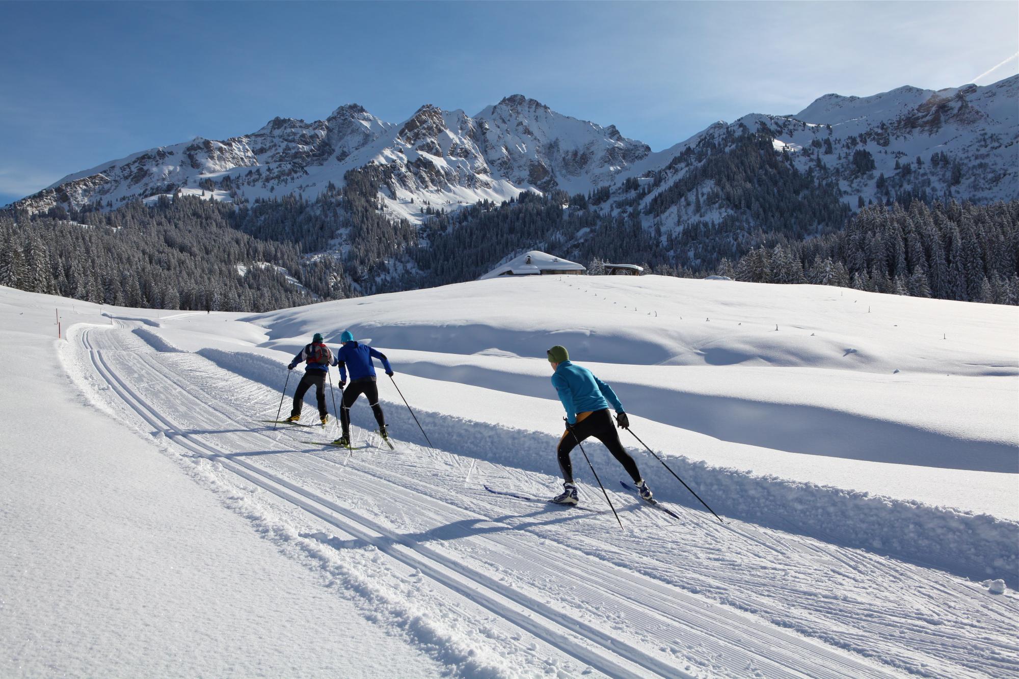 Cross-country skiing - Col des Mosses