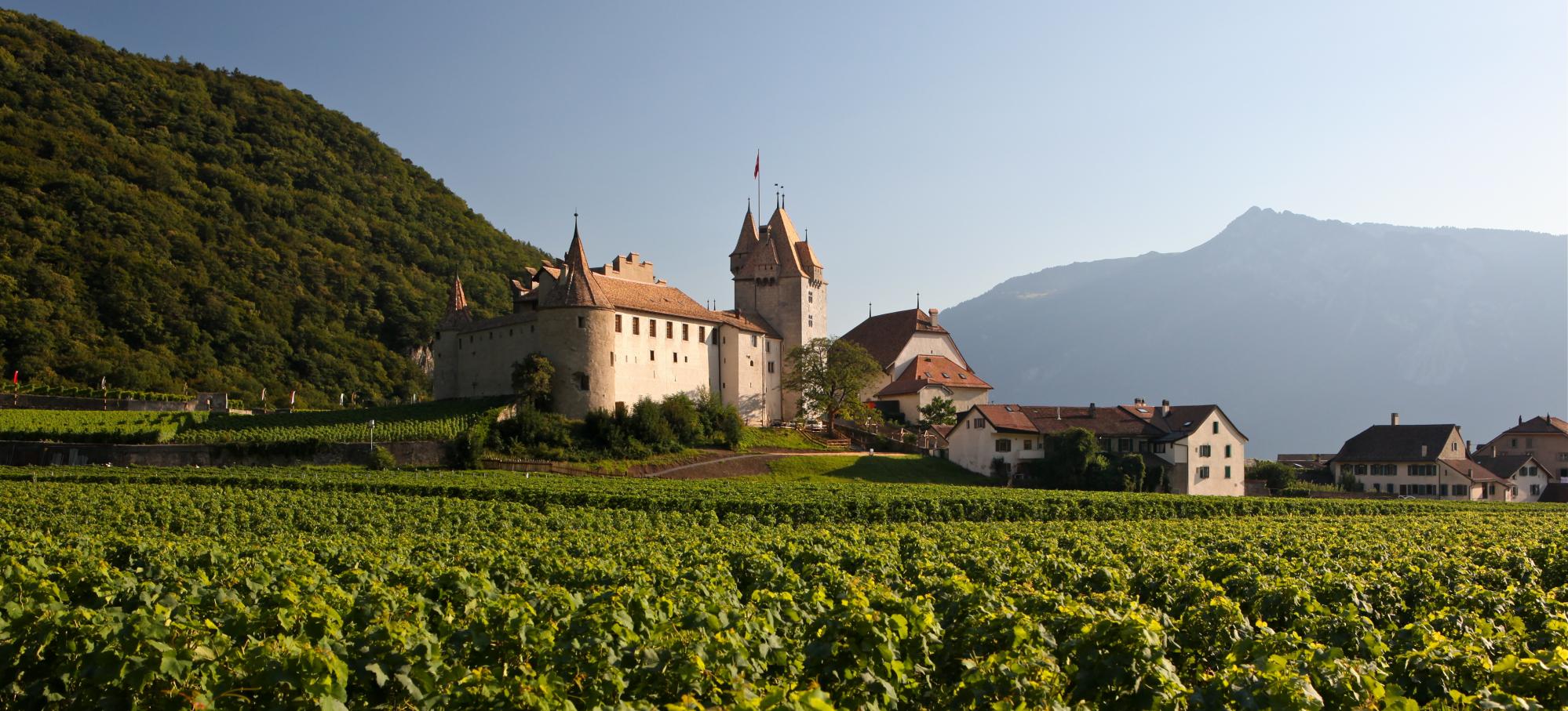 Aigle castle