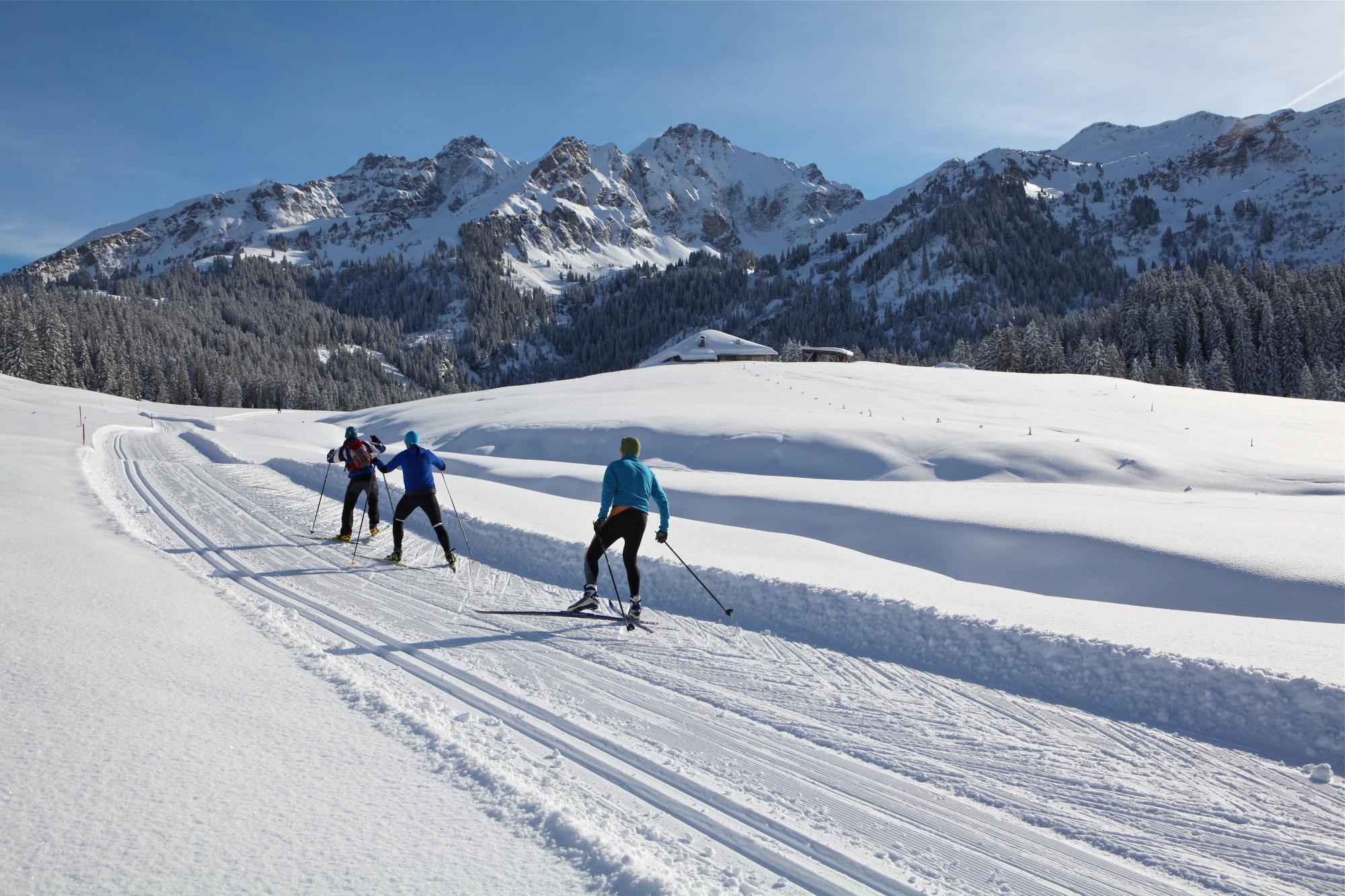 Ski de fond : TOP 5 des domaines nordiques