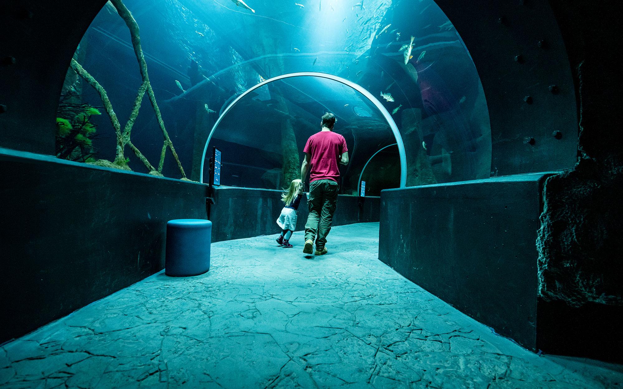 Aquatis-Aquarium-Vivarium-tunnel