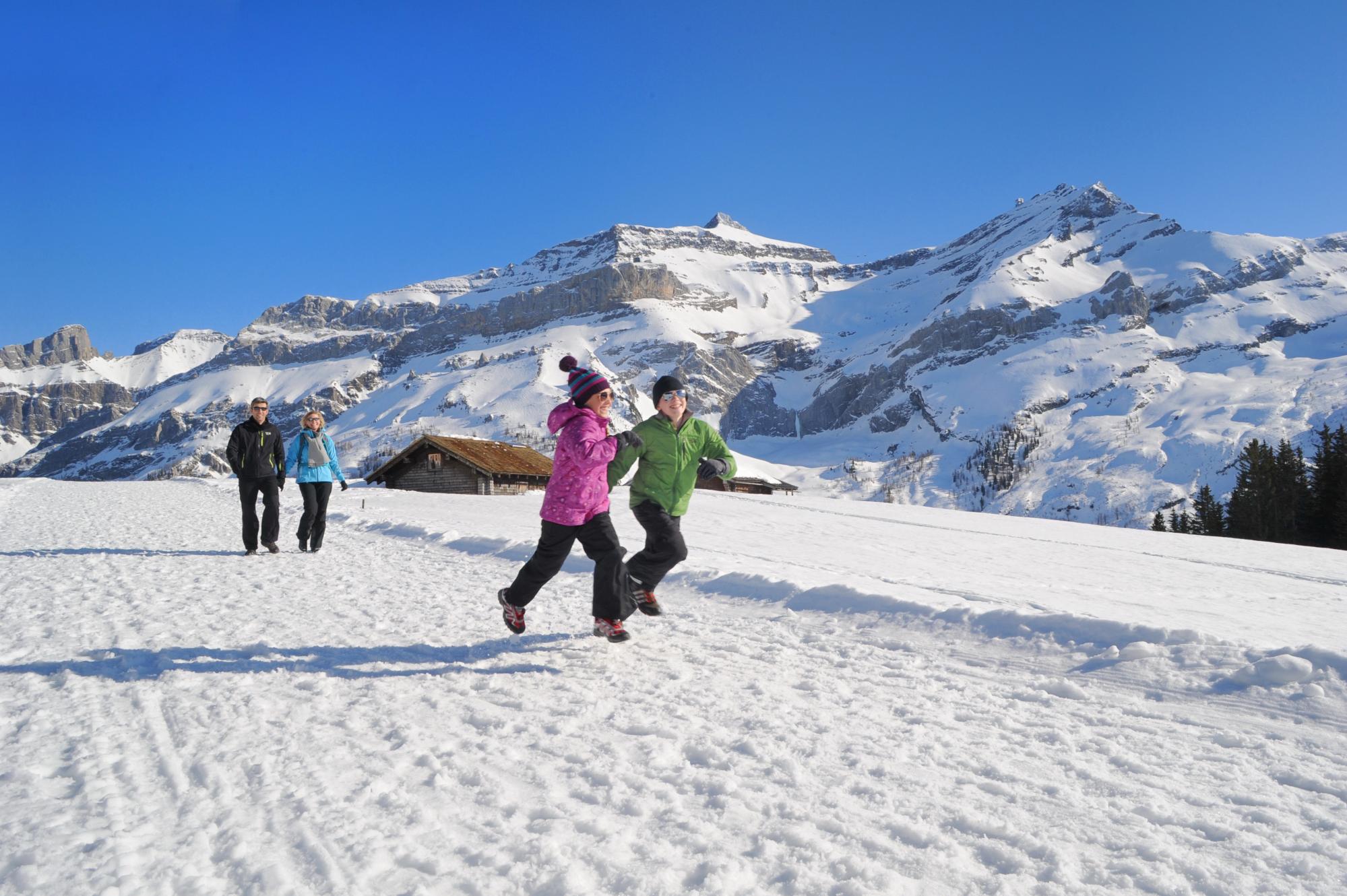 Randonnée hivernale - Les Diablerets