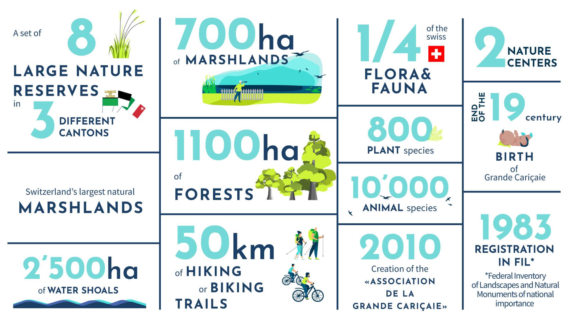 Infographie Cariçaie EN