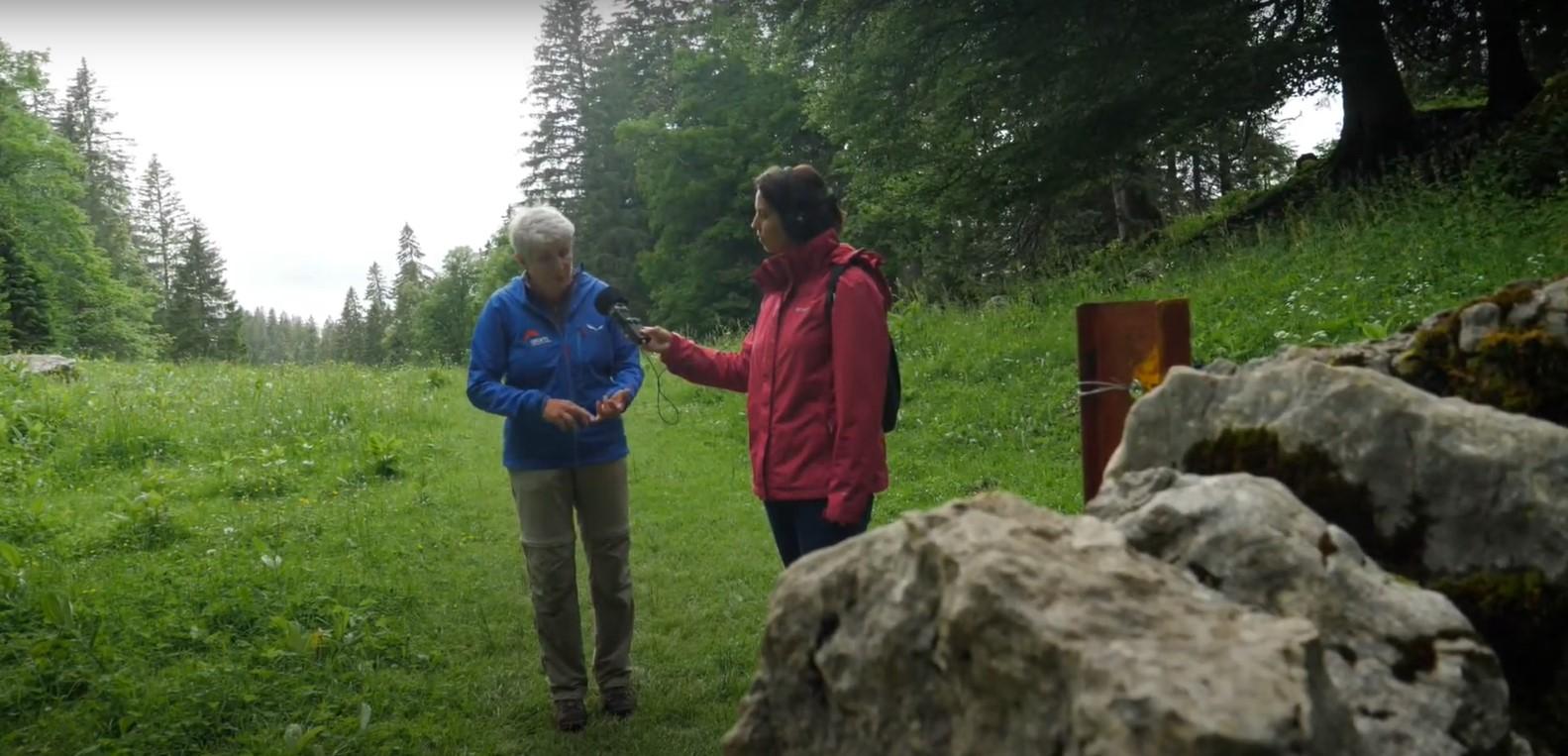 Do you know the secrets of the Vaud Jura Park?