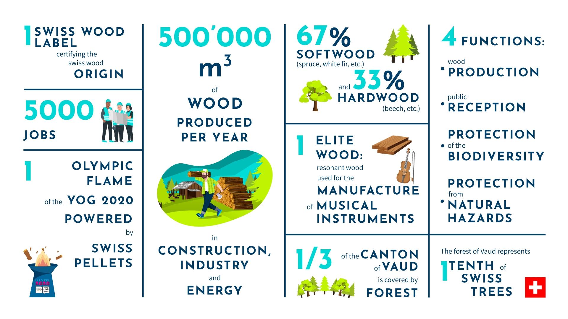 infographie bois en